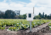 Davis Complete Wireless Soil Moisture/Temperature Station with Sensors