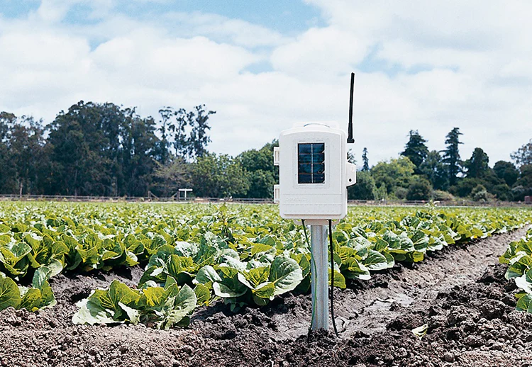 Davis Complete Wireless Soil Moisture/Temperature Station with Sensors